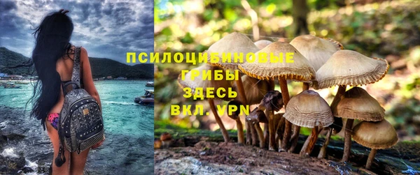 молекула духа Лагань