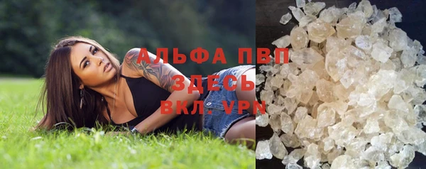 соль ск Ладушкин