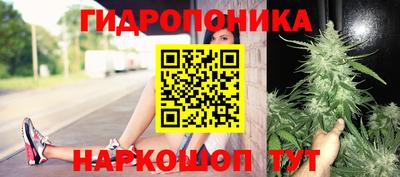 прущая мука Кингисепп