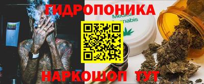 прущая мука Кингисепп