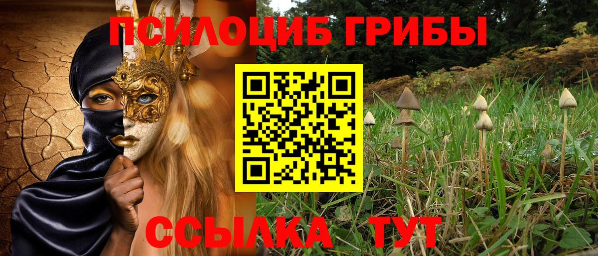 Псилоцибиновые грибы MAGIC MUSHROOMS Нефтекумск